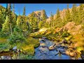 Calm Stream in a Forest | Relaxing Nature Sounds with Music