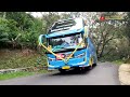 PERANG KLAKSON TELOLET BASURI TRIP TANGKUBAN PERAHU‼️CALON BUS ARTIS TOGA TRANS DAUN KELOR‼️