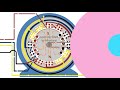 Detail Working of alternator in Hindi with Animation | Principle | Working of synchronous generator