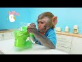 Monkey Baby Bon Bon eat lego jelly on the beach and with ducklings Playing with Sand