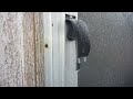 Door Handle Ice Flap