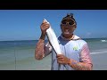 TINY Fishing Rods On The Beach?! (You Gotta Be KIDDING Me!) Funny Fishing Video