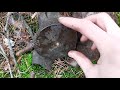 Recovering WW2 Treasure on the Eastern Front  [WW2 Metal Detecting]