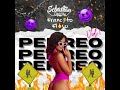 Mix Perreo Salvaje 🔥 Mix Perreo Intenso - Bellaqueo - Reggaetón Antiguo | Old School Francito Flow