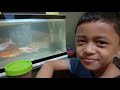 Fish and Aquarium our new interest!  (Home activity during community quarantine)