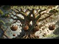 Life - A Folk Rock Song