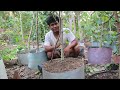 Turun Cangkok Langsung Pecah Batang: Cara Tanam Bahan Waru Di Ground Bersama Bang Emonn Bonsai