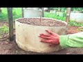 Secrets of Making Bonsai Ground for Trunk Enlargement