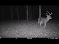 Cam2 Buck events