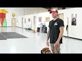 How To STOP Any Leash Reactive Dog In 1 Session!