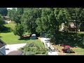 Drone Footage of Felling a Pine Tree