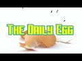 Egg egg | Ep. 1140