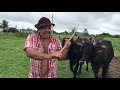 Agricultor no roçado são Jose da tapera 14 05 22 #nordeste