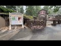 Flooding in Dollywood