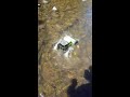 Axial wraith vs creek