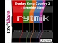 Rytmik Arrangement - Donkey Kong Country 2: Bramble Blast