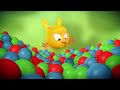 Where's Chicky? Funny Chicky 2023 | BEKKY MUSICIAN | Cartoon in English for Kids | New episodes