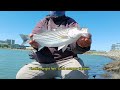 Light Tackle Saltwater Striped Bass Fishing from the Bank (South San Francisco Bay)