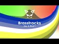 Brasstracks - Say U Won't