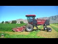 Mowing Irrigated Alfalfa near Tremonton Utah