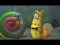 Face Stuck on Rock - Larva New - The Most Special Funny Larva - Funny Cartoons 2024.