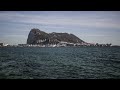 Orcas attack yacht off Spanish coast