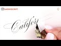 Oddly Satisfying Video (Best Copperplate Calligraphy Compilation)