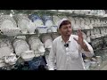 12 days Sale On France Loose Crockery in Peshawar Karkhano Market | Dinner Set Rates | Lose Crockery