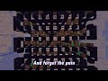 Vibrant Eyes - CG5 - Minecraft Note Block Cover || Notblocc