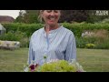 Clare Foster's Thriving Traditional English Garden | Notes From A Garden