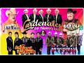 Los Tigres del Norte, Lalo Mora, Cardenales De Nuevo Leon, Los Invasores De Nuevo Leon, Ramon Ayala