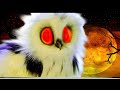 Owl Sound Effects at Night for Sleep