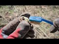 detecting 1910s - '40s oilfield and houses.