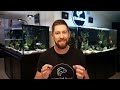 How (and Why) I Do Water Changes on All of My Aquariums