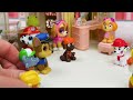 Video Educativo para Niños - los Cachorros van de Compras con Paw Patrol!