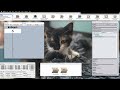 Sample Rate vs Bit Depth Demonstration - Digital Audio in Kyma Symbolic Sound with Kitten Picture