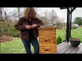 How to Assemble a MayBee Langstroth Honeybee Hive Step by Step 🐝🍯