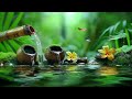 Relaxing Sleep Music with Bamboo Water Fountain | Reduce Stress, Anxiety & Depression