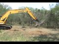 Video of larger Mesquite Grubbing