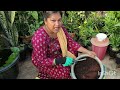 How to make compost at home in telugu | కిచెన్ వేస్ట్ వాడకుండా, వాసన, పురుగులు లేని కంపోస్ట్