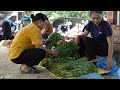 Harvest green vegetable garden goes to the market sell - Cooking | Ly Thi Tam