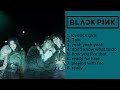 BLACKPINK playlist 2024!✨  (블랙핑크 플레이리스트 2024)