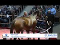 Gamine sells for $7,000,000 at The November Sale (2022)