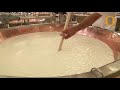 Parmigiano Reggiano: how the King of Italian cheese is made