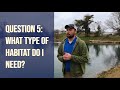 Common Questions When Initially Stocking A New Pond - Pond and Lake Management