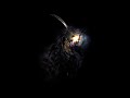 Dragon's Dogma: Dark Arisen Extended OST - Death's Presence