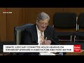 'Do You Believe That Illegal Immigration Is Illegal?': John Kennedy Gets Blunt With Witness