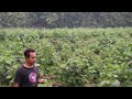 Update! Perkembangan Lahan Ground Waru 1 Hektar Milik Mas Nurcholis Paliyan, Gunung Kidul