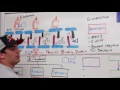 Antibiotics: Cell Wall Synthesis Inhibitors: Part 1