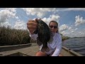 South Louisiana Bass Fishing | Lake Boeuf
